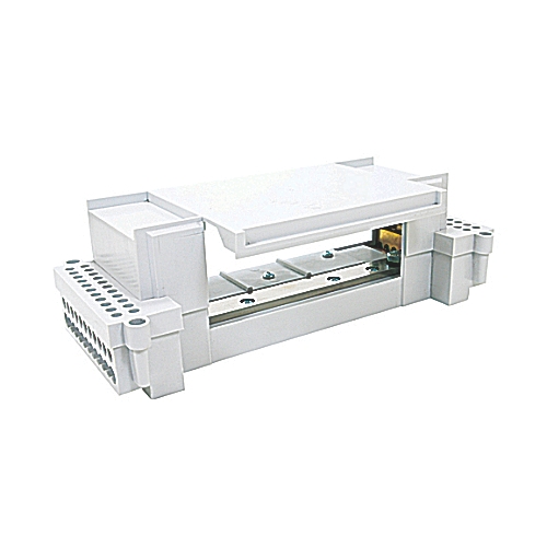 PLNG42250