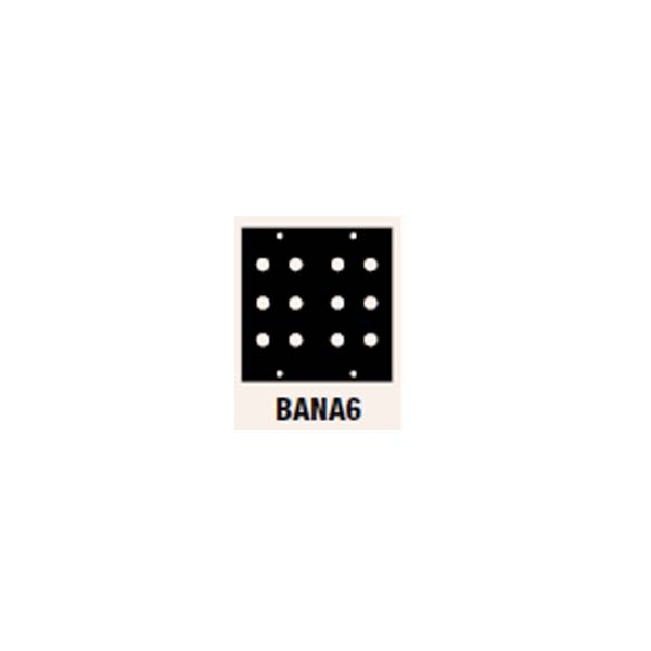 BANA6