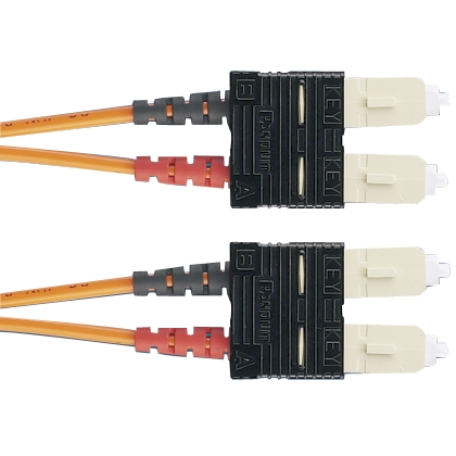 F6D3-3M10Y