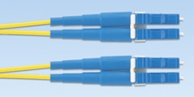 F9E10-10M1Y